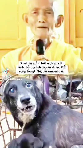 Thú kia nó cũng là thân, Cũng xương, cũng thịt… cũng phần như ta. Đánh đau chúng biết kêu la, Tiếng rên đứt ruột, tiếng la xé lòng. Tánh linh, người vật chung đồng, Xuống tay sao nỡ, cầm lòng sao đang. Thân ta thì muốn cho an, Mà thân kẻ khác lại toan xéo giày. Lòng ta muốn tránh nạn tai, Sao cùng kẻ yếu ra oai dữ dằn. Nếu ta xét lẽ công bằng, Biết câu phước tội, biết căn luân hồi. Chớ nên giết nó đành rồi, Cũng đừng hành hạ tỏ lời rẻ khinh. Chớ cho chúng khổ vì mình, Mở lòng thương xót tấm hình hài kia. Đừng làm chúng nó chia lìa, Con đây xa mẹ, vợ kia cách chồng. Đừng bày cắt cổ, nhổ lông, Việc làm cũng phải dự phòng về sau. Dây oan ai lại buộc vào, Kiếp này gây nợ, kiếp nào trả xong. Muốn cho mình được thong dong, Đừng làm kẻ khác khổ lòng làm chi! --- Trích trong: Khuyên đừng sát sanh. #sugiackhang  #khuyendunggietthu #nammobomsuthichcamauniphat  #nammoduocsuluulyquangvuongphat 
