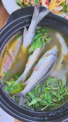 Cá niên suối mới bắt tươi ngon hết chỗ chê 