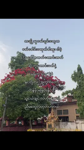 နင်တို့ကငါ့ရဲ့ဒုတိယမိသားစုပါ🥺🫶🏼#fypပေါ်ရောက်စမ်း #မင်းတို့ပေးမှ❤ရမဲ့သူပါကွာ #fyp #fyppppppppppppppppppppppp 