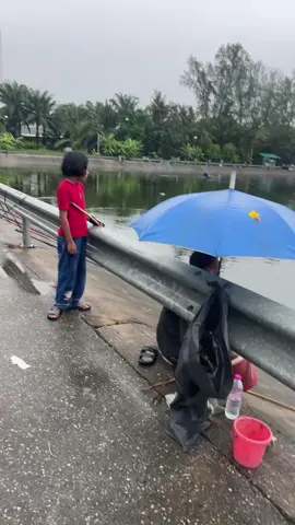 แต่ละคนจัดเต็มลังโฟม #ปลา #คนชอบตกปลา #บ่อบำบัดน้ำเสีย #ที่นี้กระบี่ 