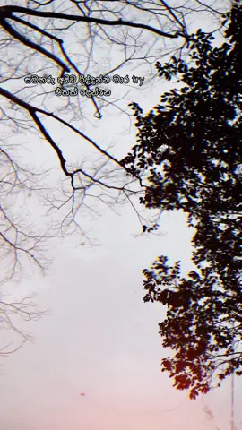 |||🙂💔 #foryou #fypシ゚🖤tiktok☆♡ #srilankan_tik_tok🇱🇰 #onemillionaudition #japanlife #横浜 