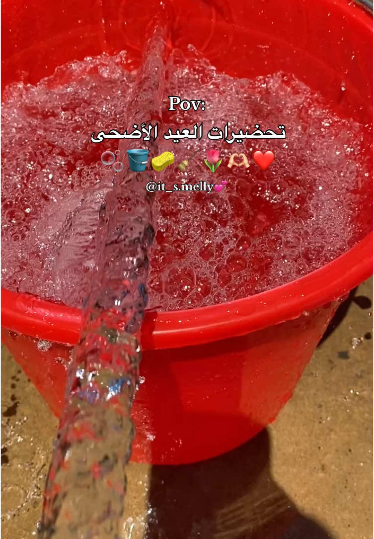 تحضيرات عيد الأضحى 😍🌷💕🫧🧹 #تابعوني بنات🥹🫶🏻🎀 #اكسبلور_explore #تحضيرات_عيد_الاضحى #العيدالاضحى #العيد #تنظيف #cleaning #روتيناتي_اليومية🎀 #روتيني_اليومي #fyyyyyyyyyyyyyyyy #fyp #explore #pourtoi #اكسبلوررررر #Summer #تحفيز #أجوائي #loveyourself #بنات #girls #تصويري #ضيفوني #ترند #fypシ゚ #طاقة_ايجابية #algerie🇩🇿 #تجهيزات_العيد #tranding 