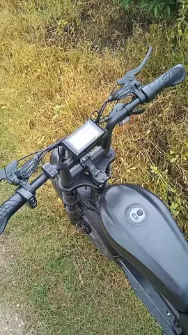 Fast electric bike