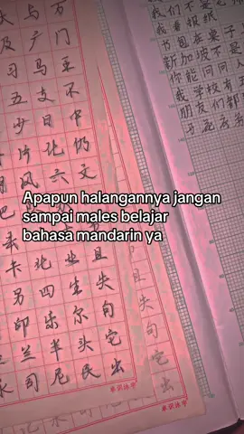 Semangat ges,sakit hati karena cinta itu wajar,tapi kalok sakit hati karena tidak lolos beasiswa ke china itu kita kurang belajar #china #xiaoashanzhen #belajarmandarin 