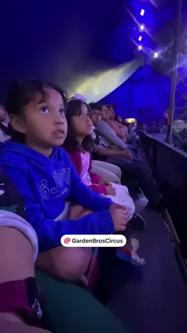 #wicked #circus #reaction 