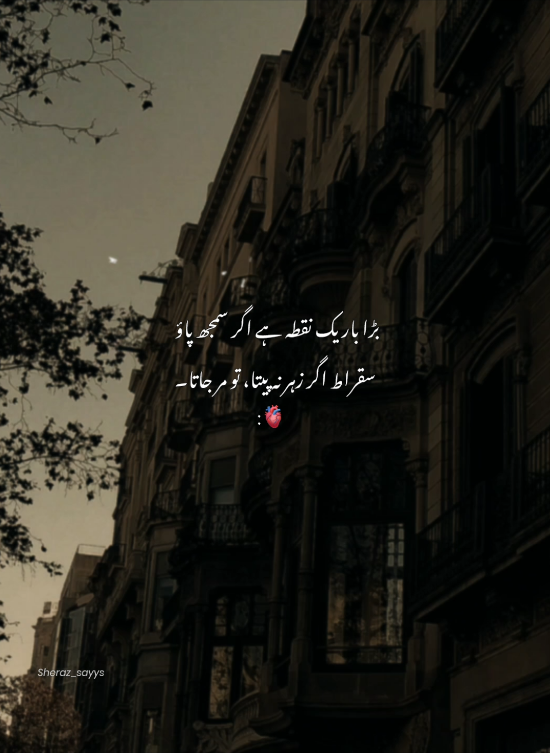 اگر سمجھ پاؤ تو ❤️‍🩹۔                                 #sheraz_sayys 