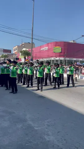 DARCY RIBEIRO! 💚 #fyp #desfile #desfilecivico #itaborai #riodejaneiro #bandas #bandasefanfarras 