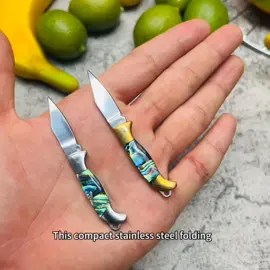 Stainless Steel Mini Folding Pocket Knife with Brass Handle & Multicolor Abalone Inlay - Compact Keychain Tool for Everyday Carry, Opening Packages, and More, Keychain Accessory | Compact Knife Design | Abalone Inlay Detail#Outdoorknife#Pocketknife#Menlovegiftsbest#Outdoorcamping#OutdoorBBQ#ECD #tiktokshopmemorialday 