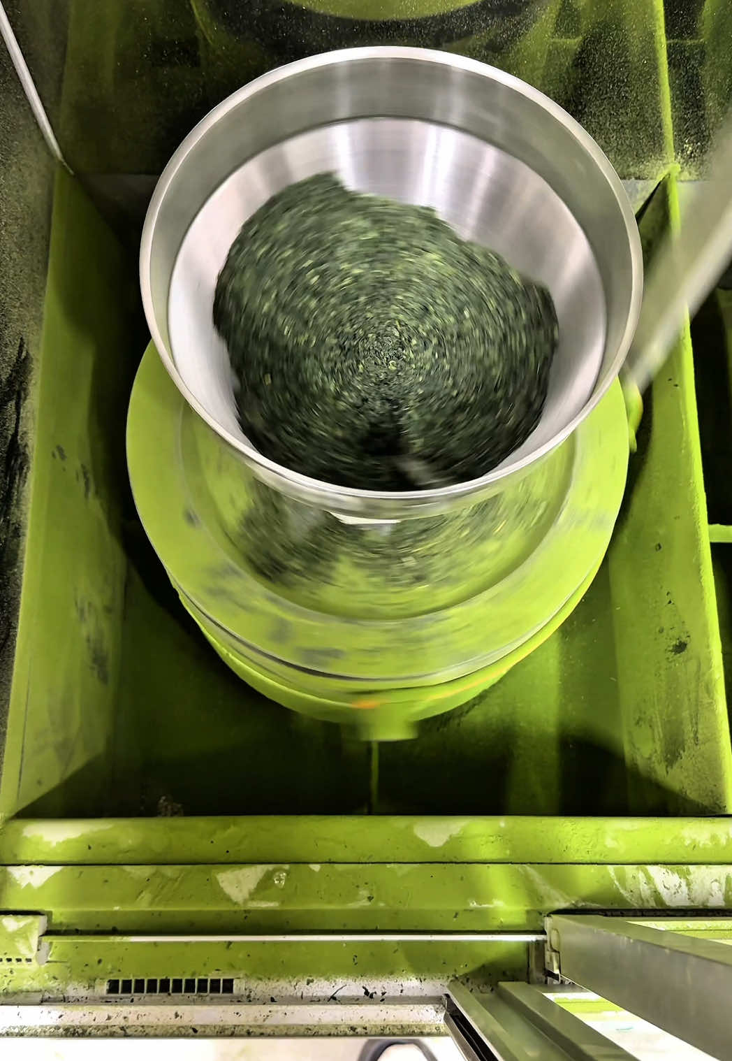 Experience the entire journey—from leaf to matcha—in just 30 seconds. #matcha #tencha #teaharvest #teafarm #matchatok #japanesematcha #matchaproduction #instagram #marusan_koroen #CapCut 