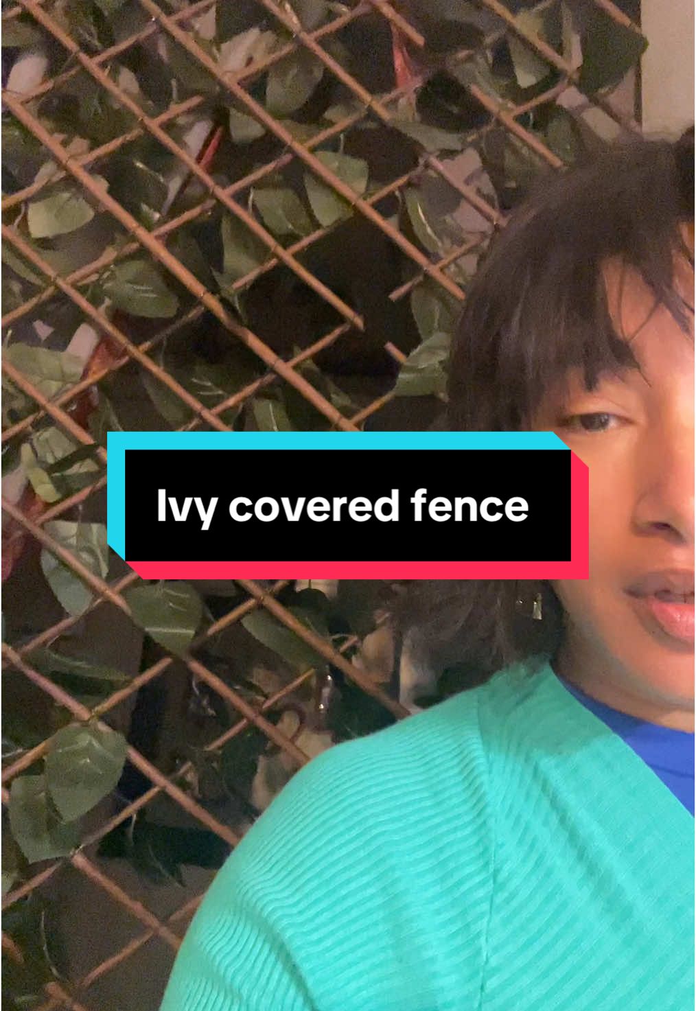 I’ve been using it as a removable backdrop. You can store it easily. I thought it was cool. #tiktokmademetryit #TikTokShop #ivyfence 
