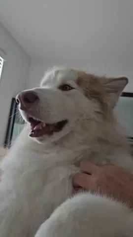 His aim is impeccable 