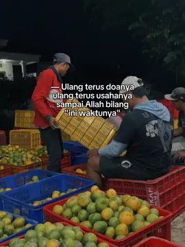 😇 #jeruk #jeruksiemmadumalang #jerukbatu55 #keprokbatu55 