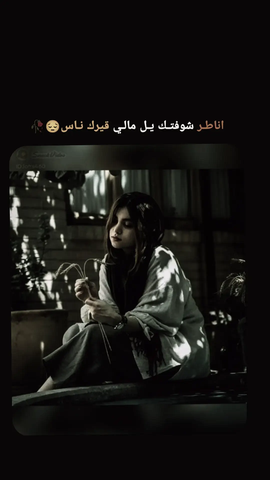 #عباراتكم_الفخمه🦋🖤🖇  #ستوريات_متنوعه  #عبارات_الفخمه📿📌  #ستوريات_انستا 