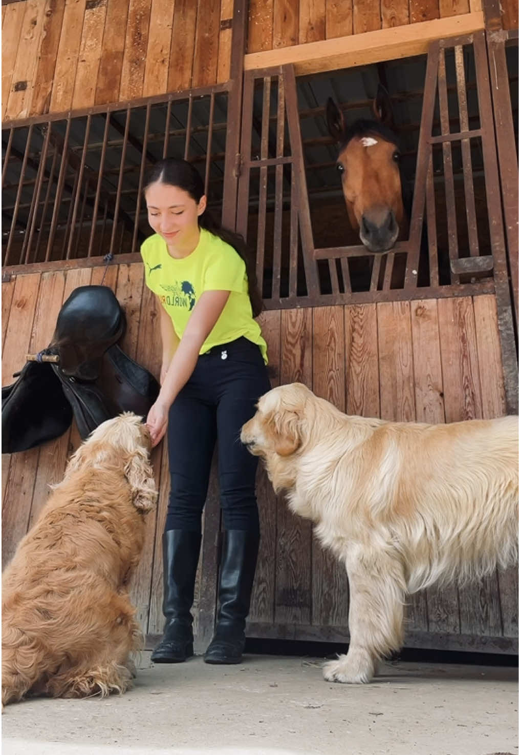 🐴, Ebby & 🍀🩵#kharebahorseclub #horses #dogs #horseclub #Love #animals 