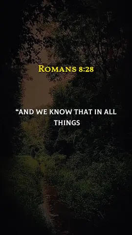 Romans 8:28 #romans828 #bibleverse #prayer #joelosteen 