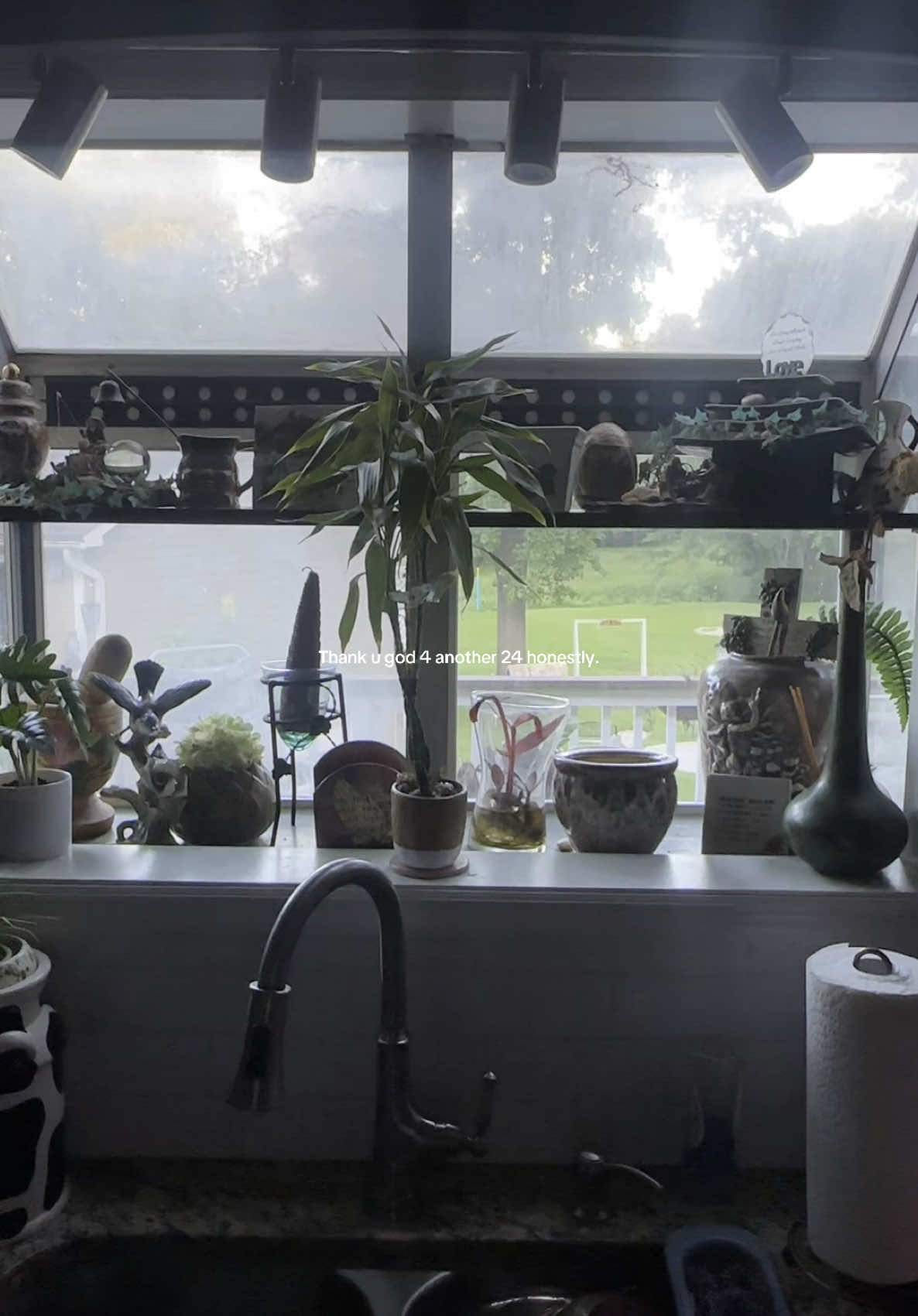 I like incenses & plants. #earth #human 