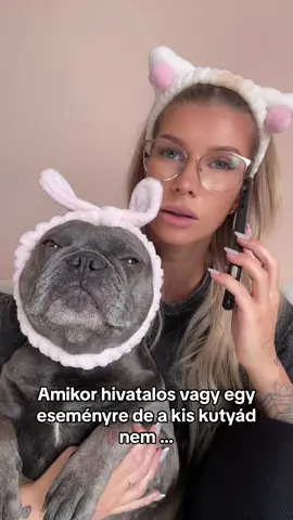 Remelem ez mindenkinek evidens 😌 #foryou #fyp #nekedbelegyen #neked #nekedbeakaromlatni #foryoupage #frenchiesoftiktok #puppiesoftiktok #frenchie #zsozeatya 