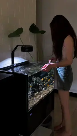 Tôi là nạn nhân của cá 🙀🙀  #cacanh #hoca #cacanhdep #ca #nuoica 