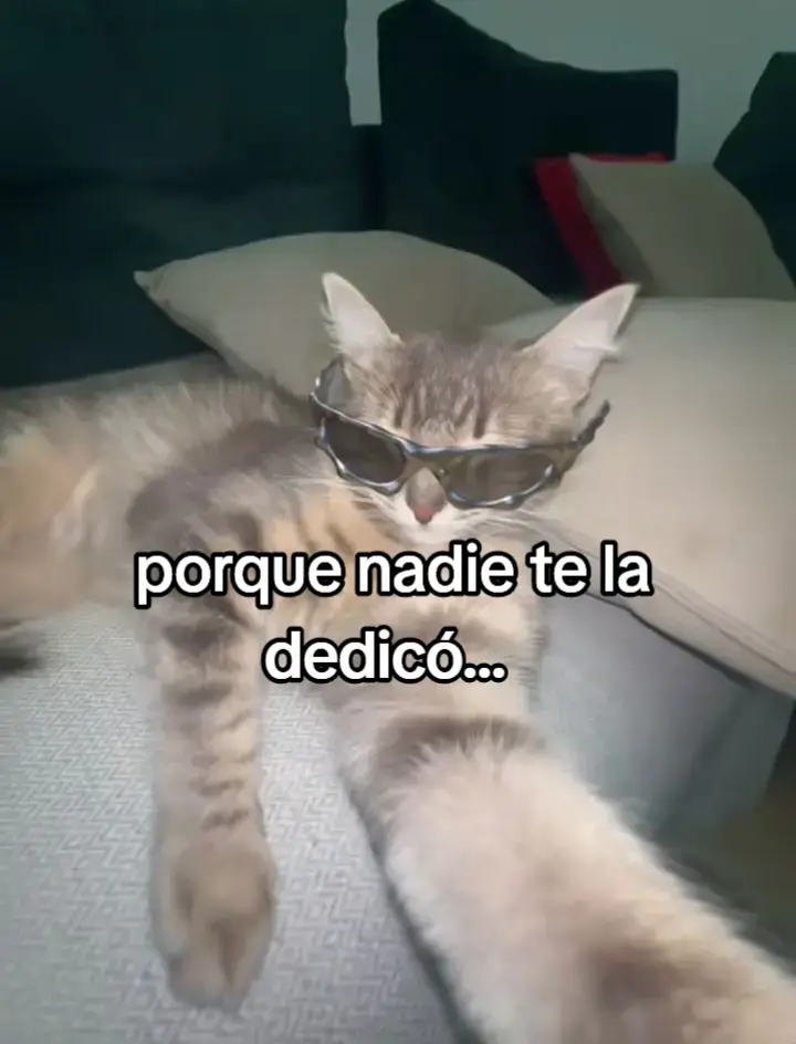 meow meow meow meow  #paratiiiiiiiiiiiii #viraIIIIIIIIIII #paratiiiiiiiiiiiii #viraIIIIIIIIIII #paratiiiiiiiiiiiii #foryou 