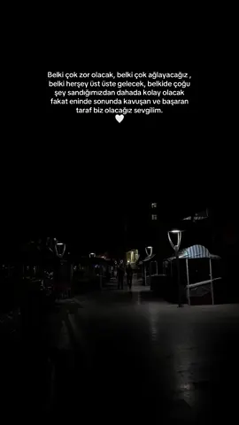 Ş