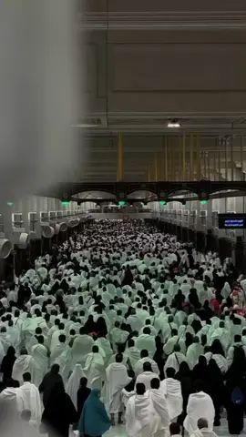 جهزو امنيكم ليوم عرفه #يارب_العالمين🙏 🦋🍃 #foryoupage #muslim #viral #fypツ #fypシ゚ 