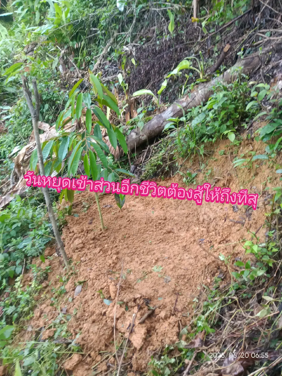 จะสบ่ายต้องเหนื่อยกอน#3ชีวิตที่รัก💝 