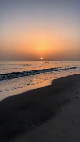 #foryou #fyp #capcut #4u #اغاني #tiktokviral #tiktok #fyppppppppppppppppppppppp #foryoupage #amrdiab 