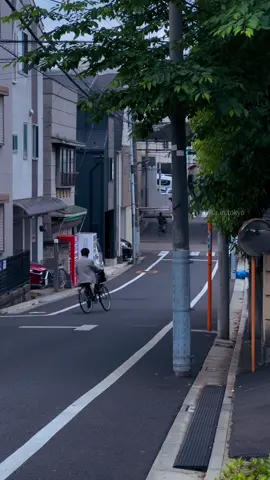 Strolling in Tokyo at early summer dusk🍃🐈☁️ #vibes #cinematic #street #dusk #tokyo #japan #日本 #viral #foryou #animelover 