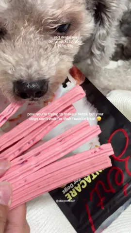 gusto ko lang naman gumawa ng tiktok bebis 😩 #zert #zertdentacare #dentalsticks #dogtreats #dogsoftiktok #furbaby #dog #fyp #foryoupage