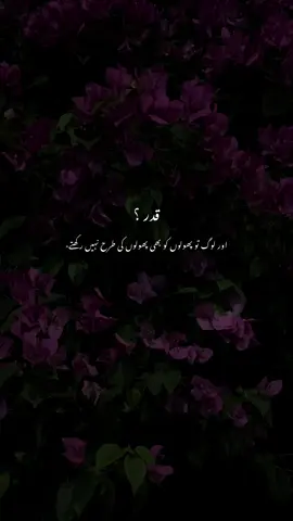 #fyp 