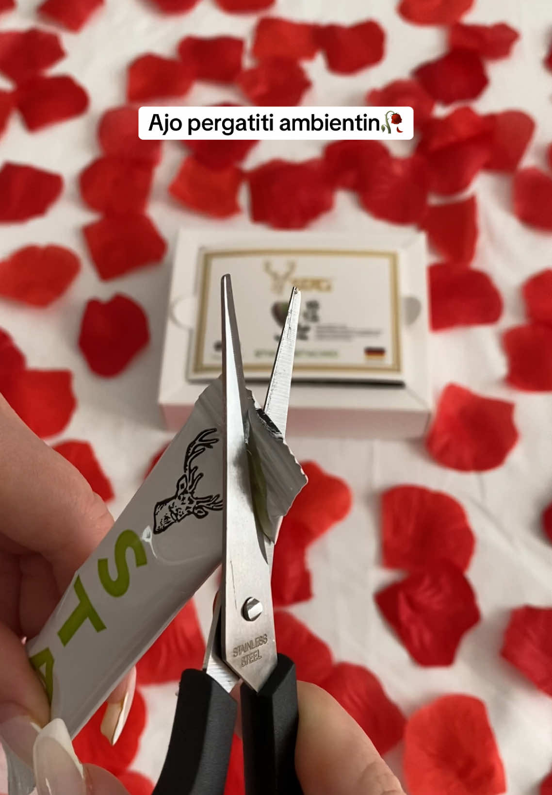 🌹 Ajo përgatiti ambientin… 🦌 Ai mori STAG Pistachio. Dhe nata s’kishte më limite. 🔥 Për meshkuj që duan më shumë se vetëm pak minuta. Për porosi kontakto në IG. #StagPower #SekreteAl #NataJote #TikTokAlbania 