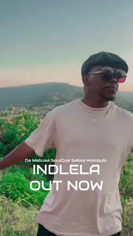SONG IS OUT 🙏🏻😭🔥 #indlela #damabusa #trending #newmusic #fyp #kabzadesmall #tranding 
