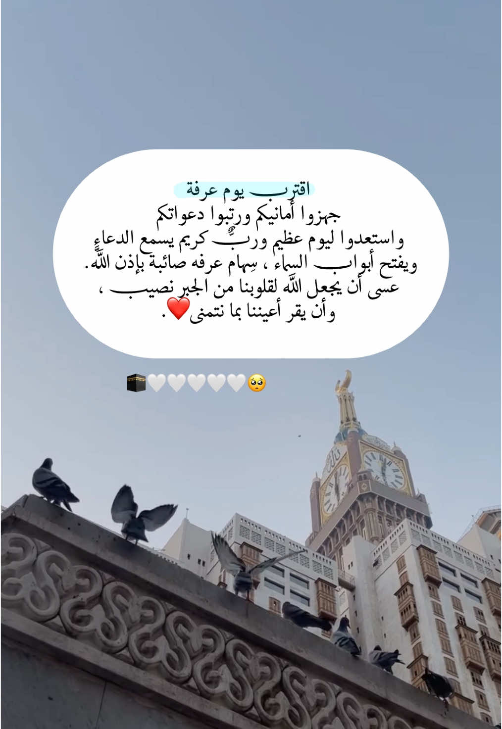 اقترب يوم عرفة  جهزوا أمانيكم ورتبوا دعواتكم  واستعدوا ليوم عظيم وربٌّ کريم يسمع الدعاء  ويفتح أبواب السماء ، سِهام عرفه صائبة بإذن اللَّه. عسى أن يجعل الله لقلوبنا من الجبر نصيب ،  وأن يقر أعيننا بما نتمنى❤️. #اللهم_امين #عشر_ذي_الحجة #يوم_عرفه 