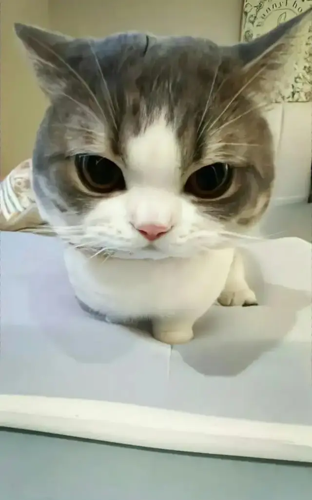 #fyppppppppppppppppppppppp #alyasometimeshidesherfeelingsinrussian #alya #alisamikhailovnakujou #anime 