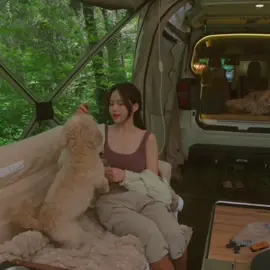 Pretty girl Camping alone in the middle of the forest in heavy rain. Sleeping in a safe and warm car. Relaxing amidst the wonderful sounds of nature #girlcamping #camp #camping #Outdoors #asmr #relax #Vlog 