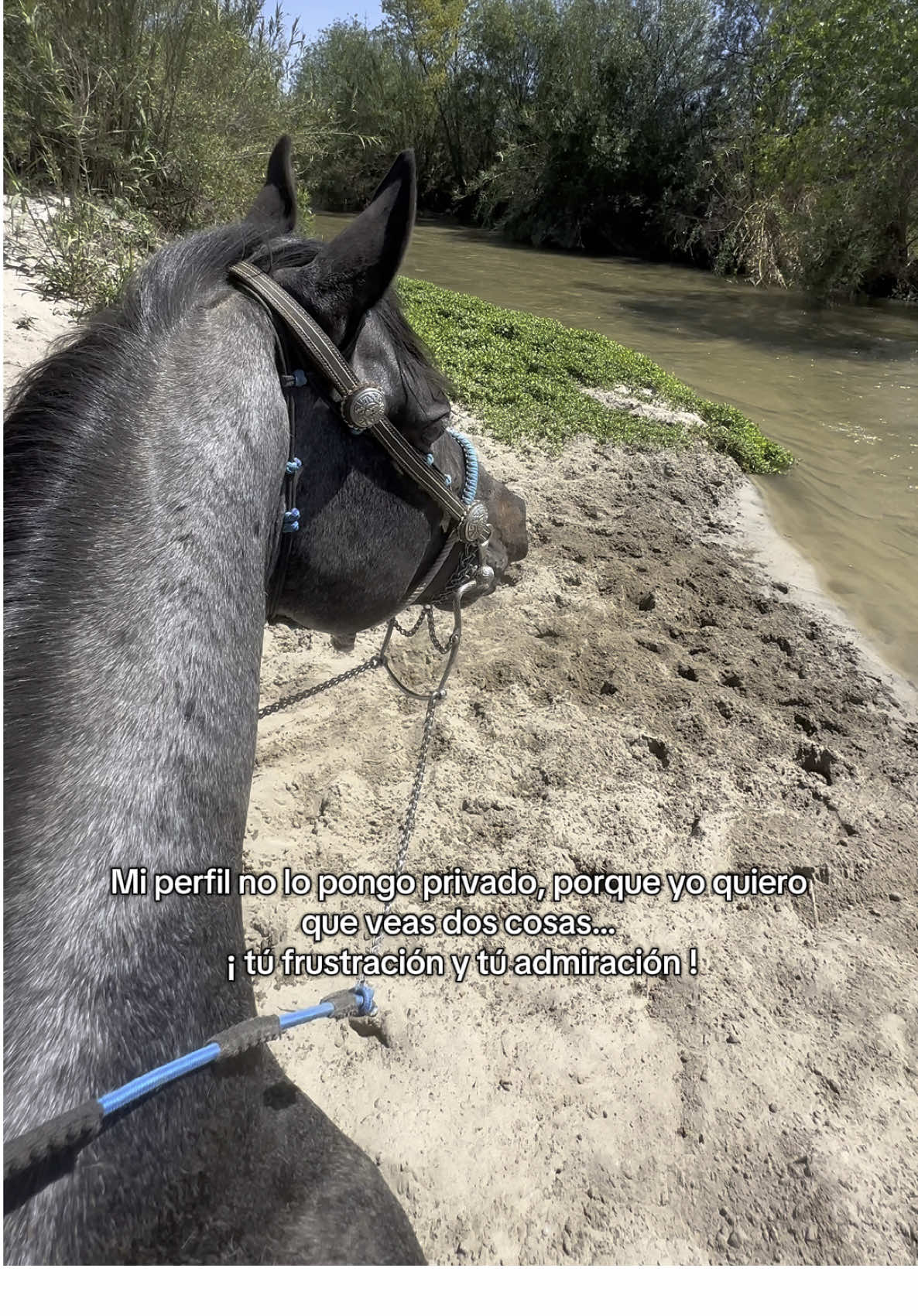 Ya ni modo Precios@ 😘🤪🤠🫶🏼✨ #pov #equestrian #caballo #horse #cowgirl #funny #humor #horsereels  