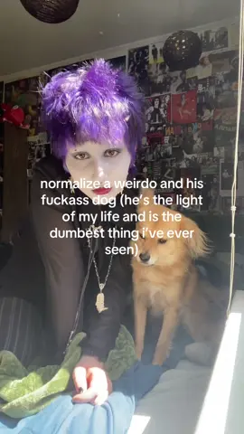 i loev my dog