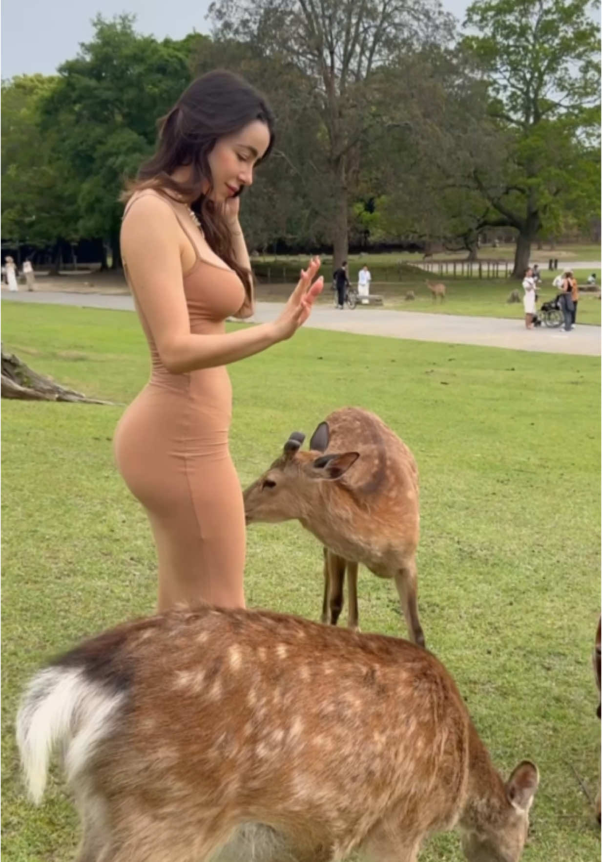 How many deer are in the video? 🦌♥️