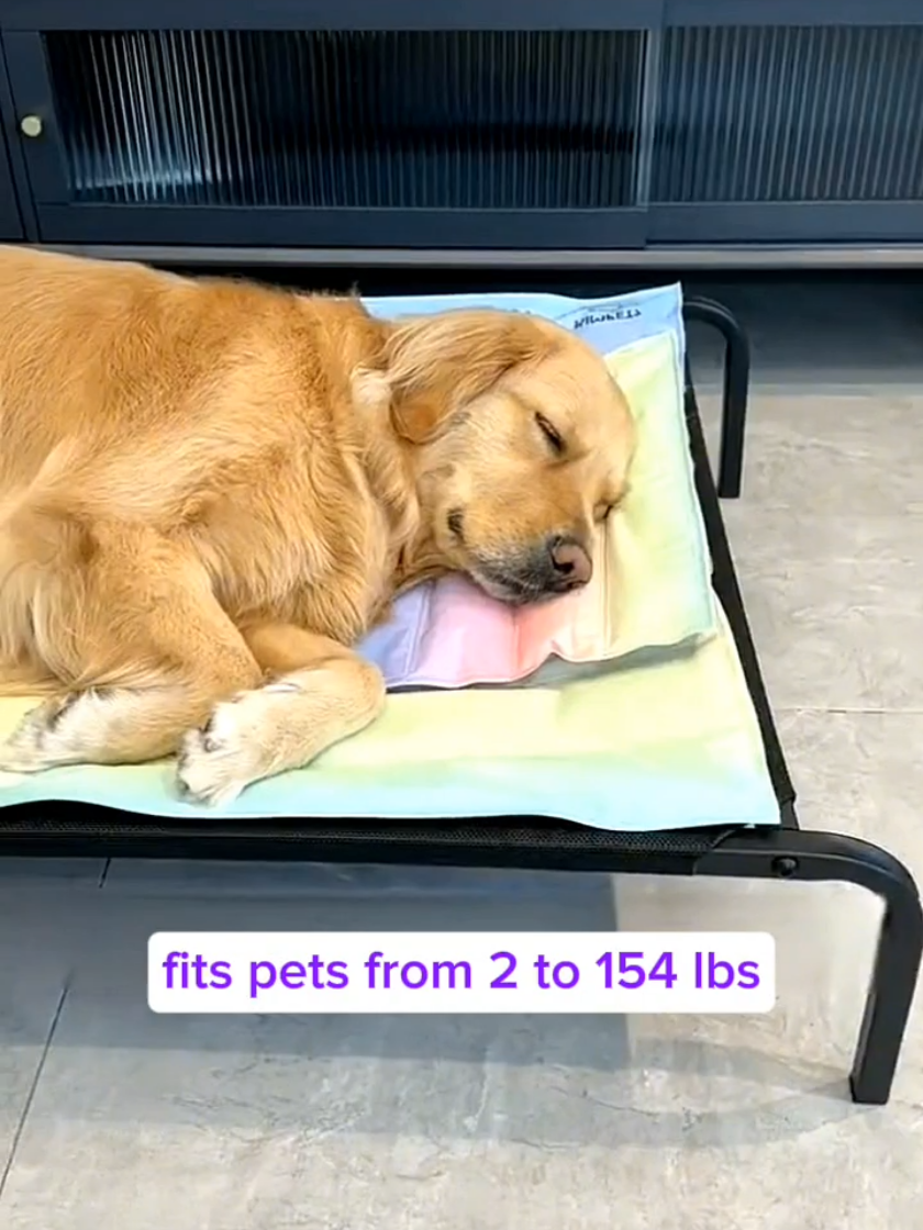 Keeping your dog cool through the summer. #dog #dogbed #dogmat #TikTokShop 