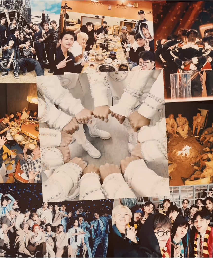 ( 26.05.25 ) my escape from all my problems happy 10th anniversary to my 2nd family I love u all let’s all grow old together and happily 🤍 !! #seventeen #ot13 #10thanniversary #edit #ftgyus ib/rm @sofia 