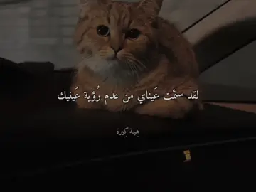 😔🤎#هِبـة_كِيرة #بدون_موسيقى 