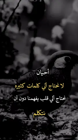 #عباراتكم_الفخمه🦋🖤🖇 #افضل_عبارة_لها_تثييت #عبارات_جميلة_وقويه😉🖤 