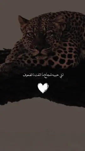 لك وسط عيني مكان و وسط قلبي رفوف 🫰🏻 #explore #اكسبلورexplore #fyp #fypシ゚ 