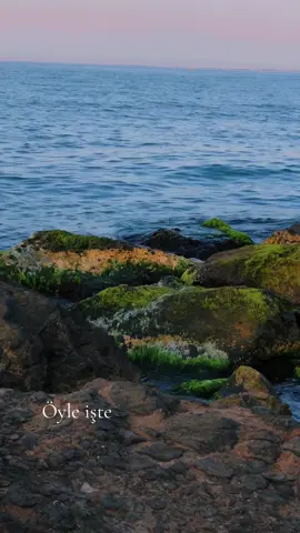 Bıraktım artık🌸