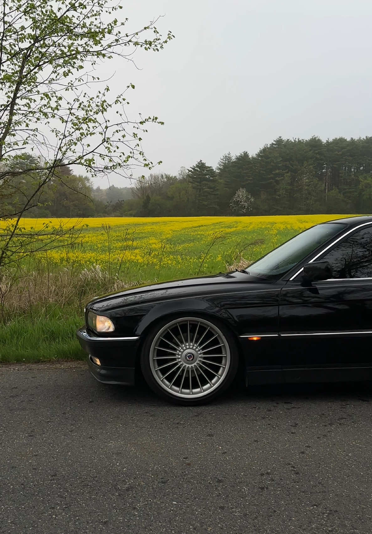 The BMW 7 #bmw #e38 #7series #germancars 