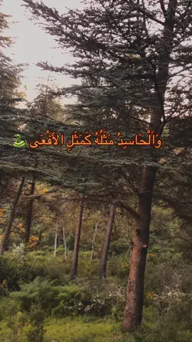 والحاسد مثله كمثل الأفعى مليئة بسم #عبد_الرزاق_البدر #الشيخ_عبد_الرزاق_البدر_حفظه_الله #الحسد #اللهم_لك_الحمد_ولك_الشكر #استغفرالله_العظيم_واتوب_اليه #اللهم_لا_حسد #صلى_على_رسول_الله_صل_الله_عليه_وسلم #اشهد_ان_لا_اله_الا_الله #السلف_الصالح #قران_كريم 