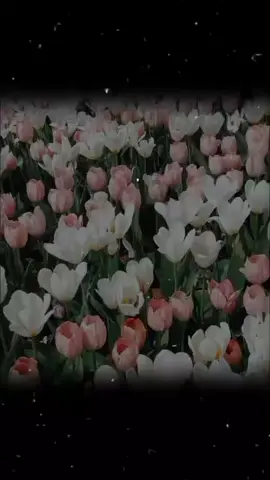 لج فطوم انتي جكليته #ترند-فاطمه #ضافه_جديد_ع_تيك_توك😊😊  #اعادة_النشر🔃 ضيفوني🙂🤍 #فاطمه  #فطومه #فطيم #فوفو     #الفاطمية    #شوشو  #رورو #رويدا #نونو  #كتابه #كتابه_اسماء_تصميم    #ترند_تيك_توك  #حبيبتي #حبيبتي_وروحي🤍💕🤍 #ترند_جديد #مراد_حسن #مراد -حسن #شعب_الصيني_ماله_حل😂😂 #شعب_الصيني_ماله_حل #غزل_وحش_الإكسبلور #غزل #حبيبي❤️ #كيوت💞 #بيبي #بيبي_كيوت #بنات #بنات_العراق #اكسبلورexplore❥🕊 #ورد #شعر-غزل#شعر_غزل  #اكسبلور #اكسبلورexplore #تصميم #تصميم_فيديوهات🎶🎤🎬  #ترند_اسماء #لايك #لايك__explore___ #اغنيه #شعر #حب #تصميم 