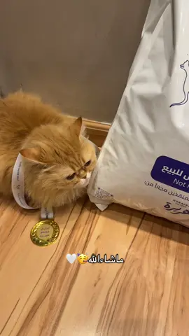 شككراً @Horayra هُريرة 🫱🏼‍🫲🏻🫱🏼‍🫲🏻🫱🏼‍🫲🏻 @HorayraSA_SR 