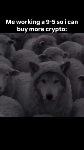 The lone wolf 😂 #crypto #solana #cryptotrading #foryou #memecoins 