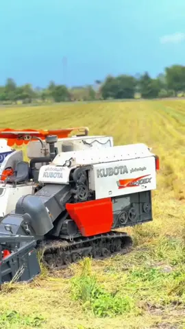 có xe nào giá rẻ mà đi làm k anh 😂@Linh hoài✈️🌾 @𝕄𝕀ℕℍ ℂℍáℕℍ 🌾🚜📸 @Quân sì tủn07 #kubota #dc105บ้าพลัง #dc105x #maycatlua #kubotadc105xบ้าพลัง 